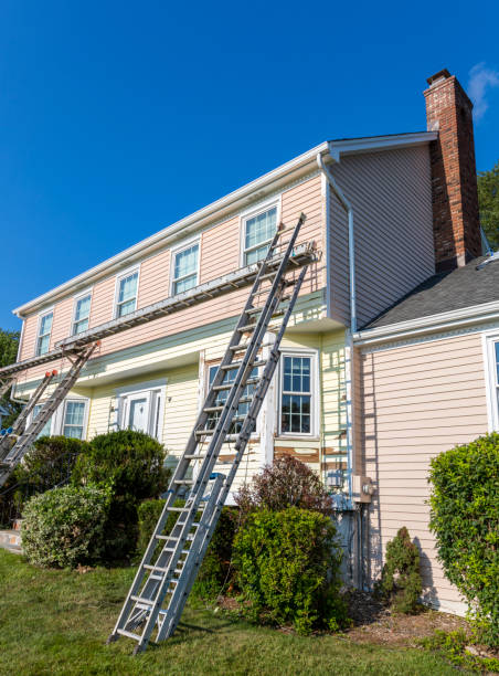 Best Shed Removal  in Reidsville, NC